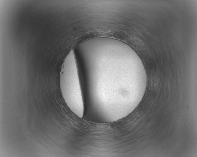 X0000073841346200608101017