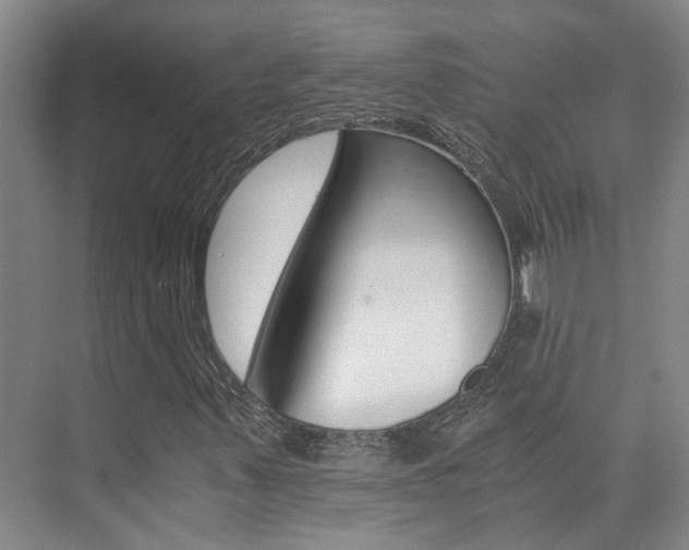 X0000073841347200608101017