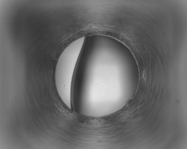 X0000073841348200608101016