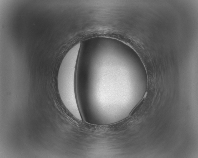 X0000073841349200608101016