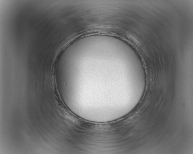 X0000073841354200608101016