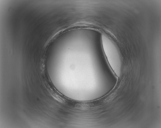 X0000073841355200608101016