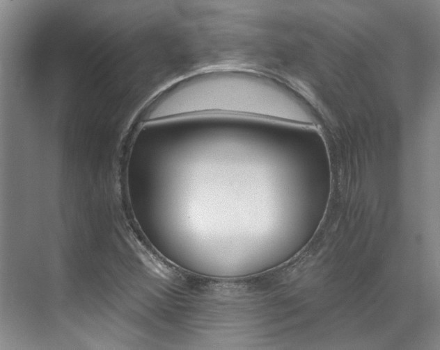 X0000073841356200608101016