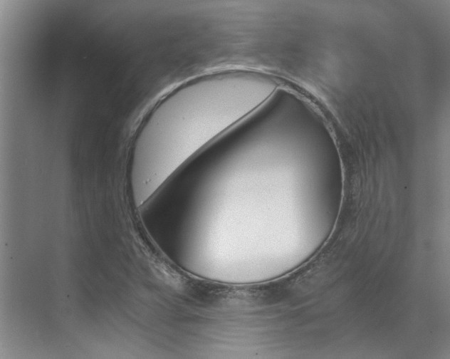 X0000073841359200608101016