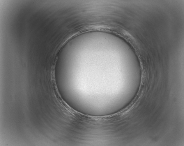 X0000073841361200608101016