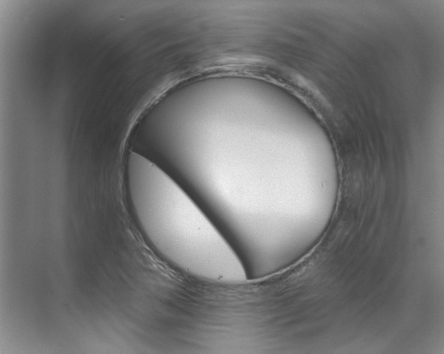 X0000073841362200608101016