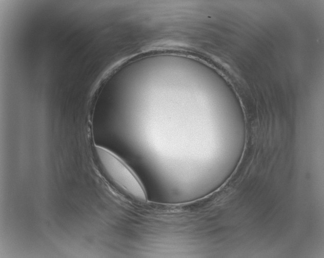 X0000073841363200608101016