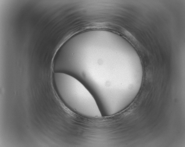 X0000073841370200608101016