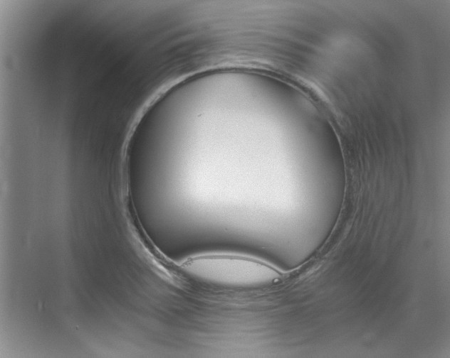 X0000073841371200608101016
