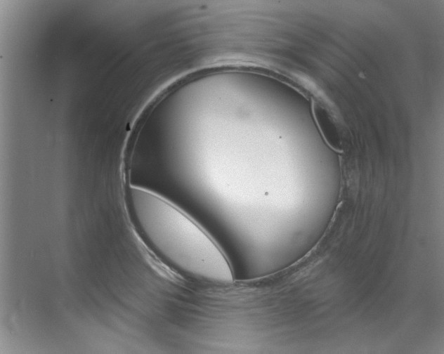 X0000073841372200608101016