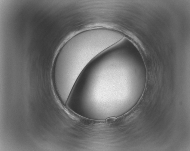 X0000073841373200608101016