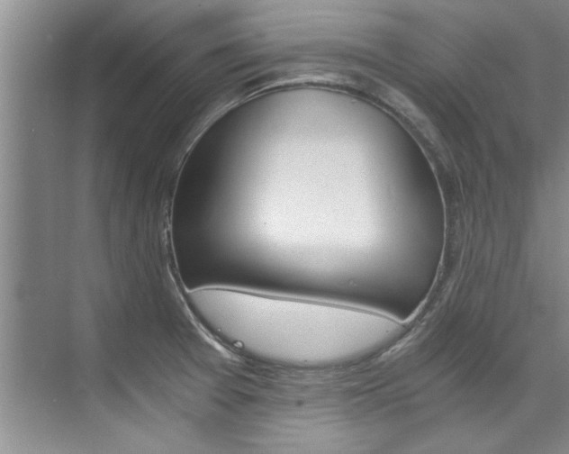 X0000073841377200608101016