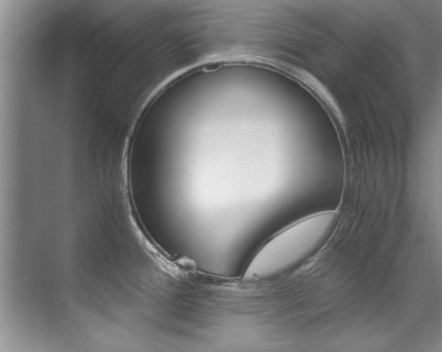 X0000073841388200608101016