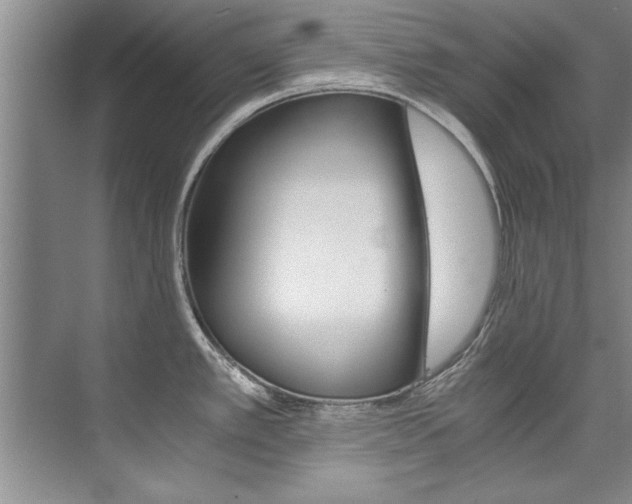 X0000073841389200608101016