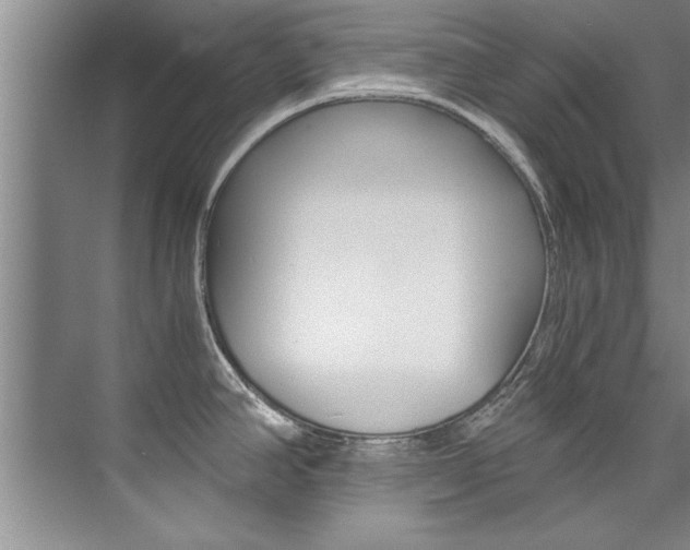 X0000073841390200608101016
