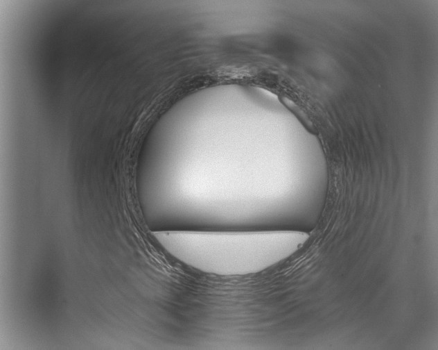 X0000073841393200608101015