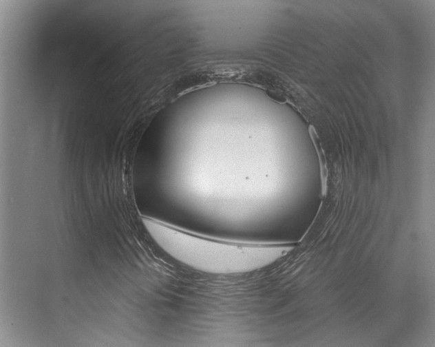 X0000073841394200608101015
