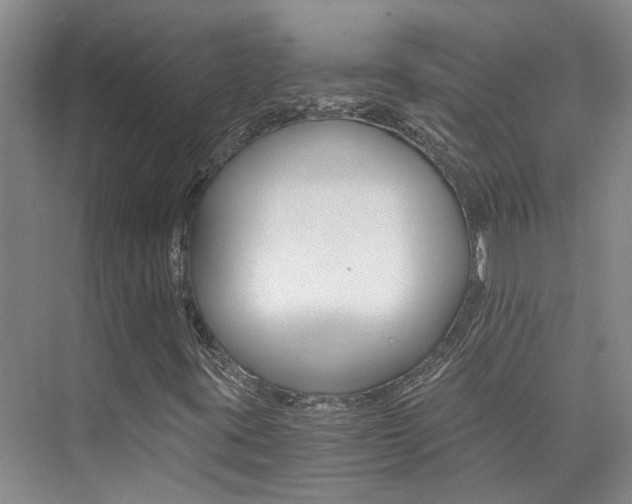 X0000073841395200608101015