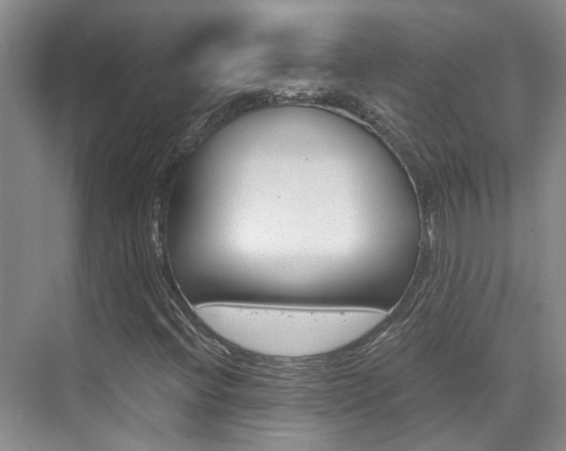 X0000073841396200608101015