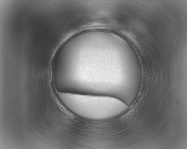 X0000073841413200608101015