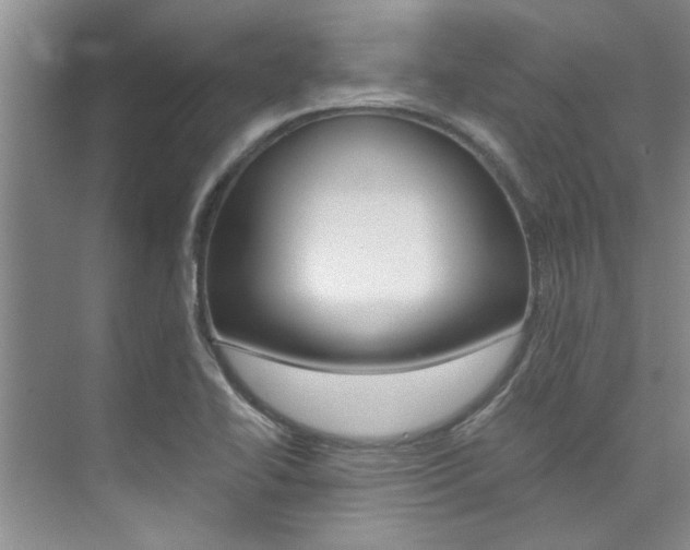 X0000073841414200608101015