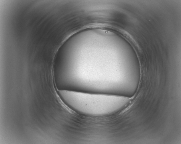 X0000073841417200608101015