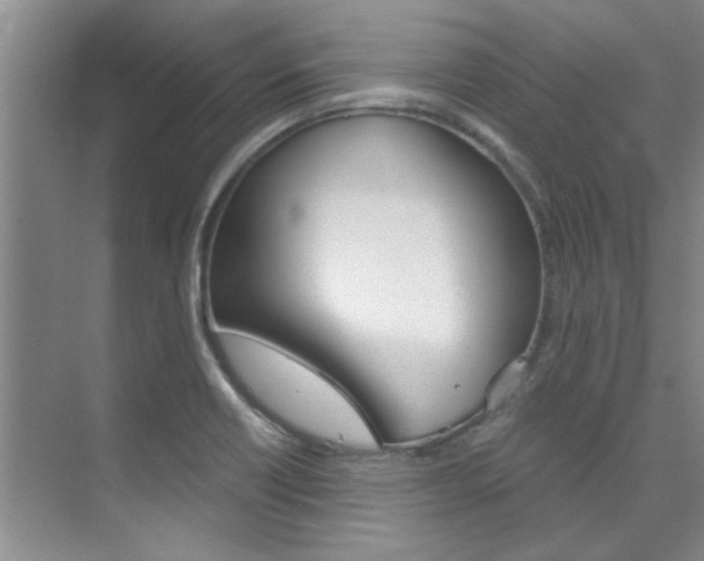 X0000073841418200608101015