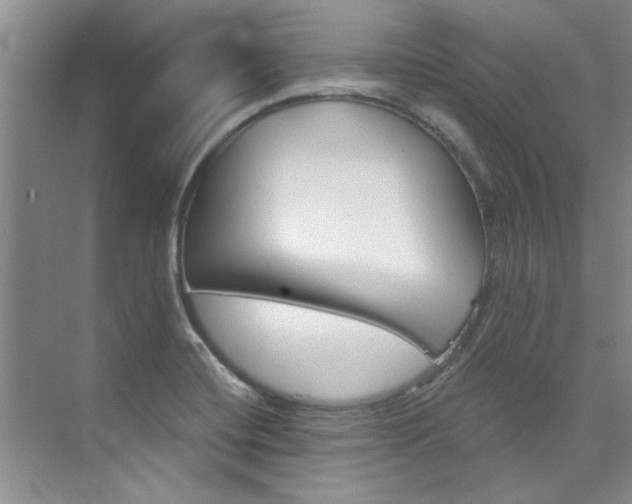 X0000073841420200608101015