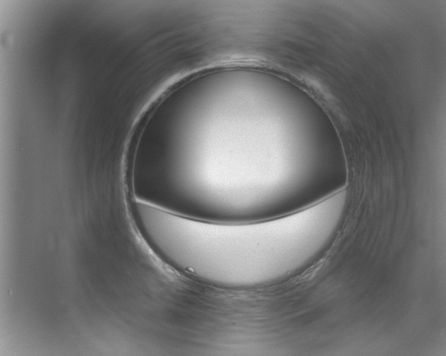 X0000073841422200608101015