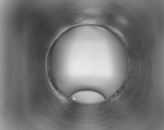 X0000073841423200608101015