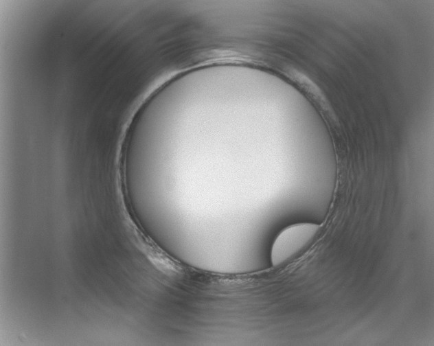 X0000073841427200608101016