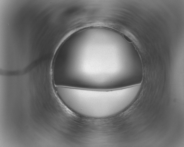 X0000073841428200608101016