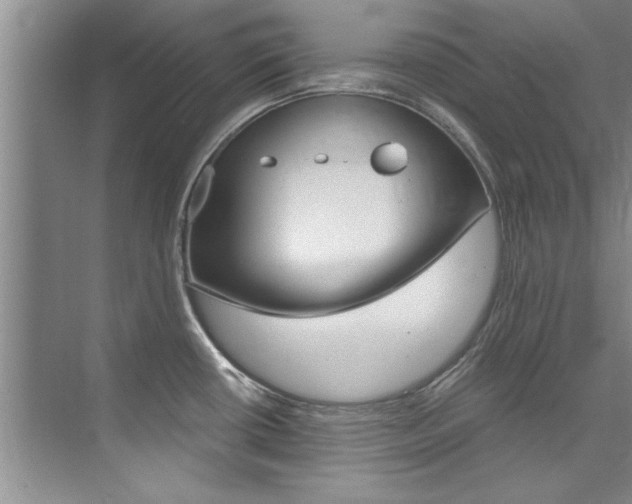 X0000073841434200608101016