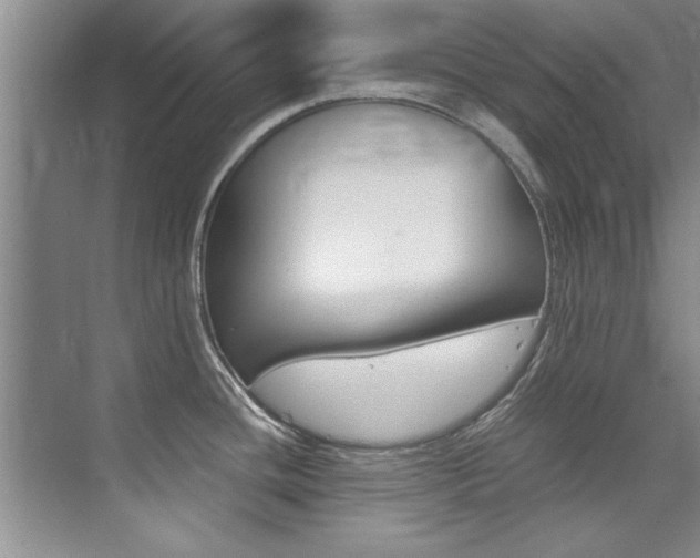 X0000073841436200608101016