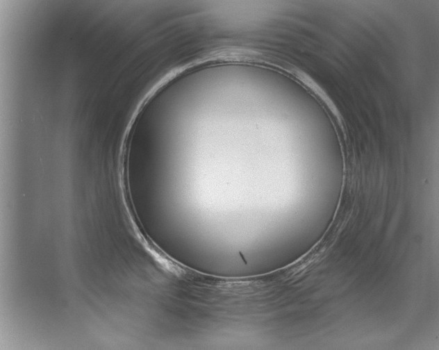 X0000073841437200608101016