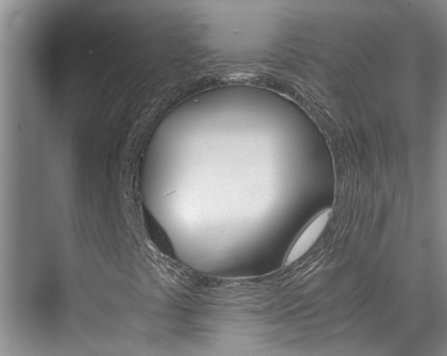 X0000073841441200608101015