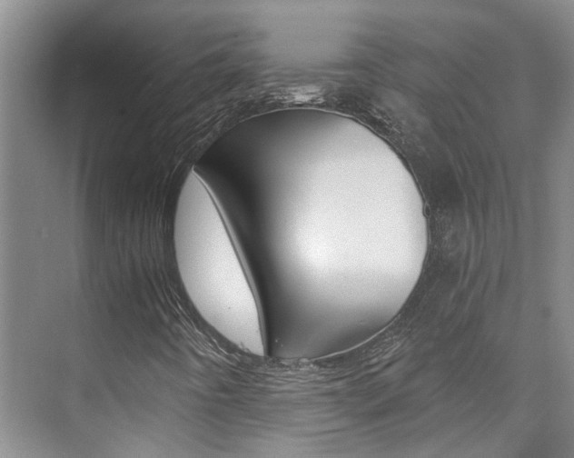 X0000073841442200608101015