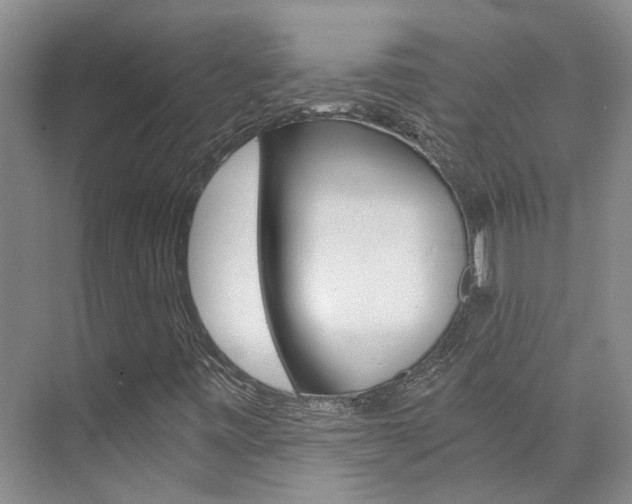 X0000073841443200608101015