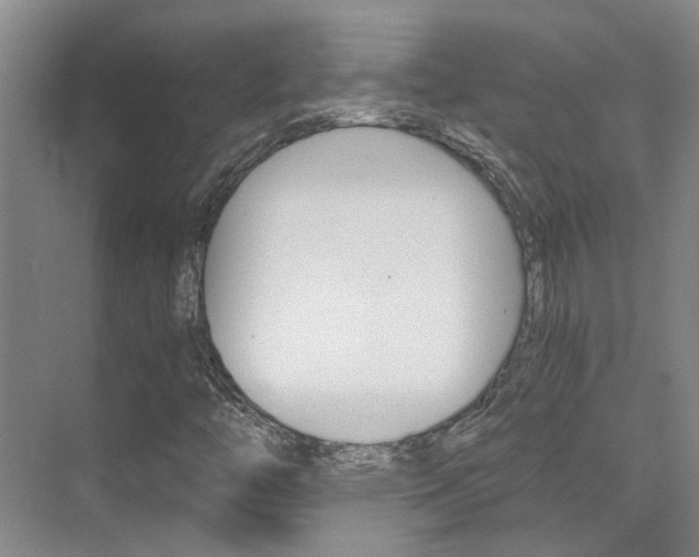 X0000073841446200608101015