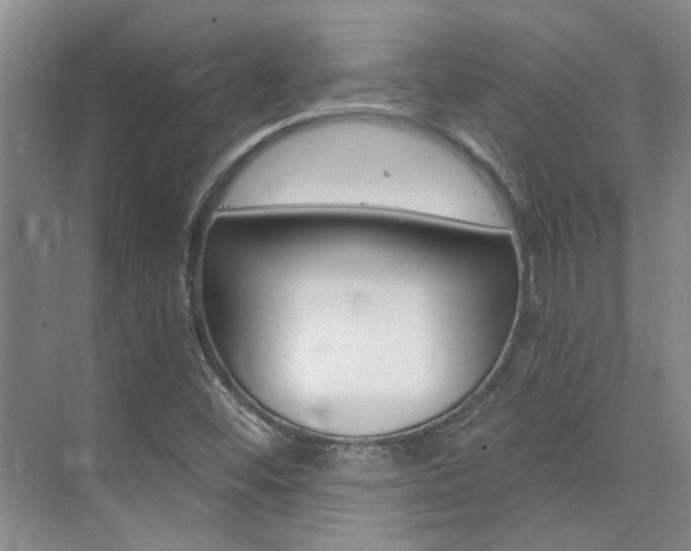 X0000073841452200608101015