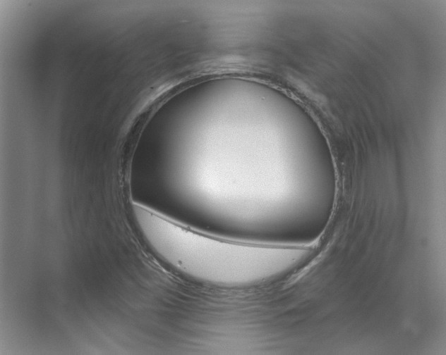 X0000073841453200608101015