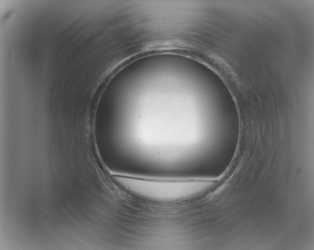 X0000073841457200608101015