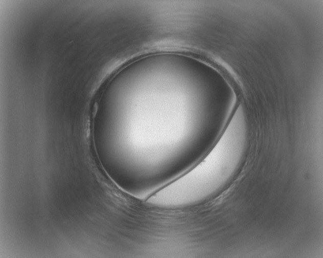 X0000073841461200608101015