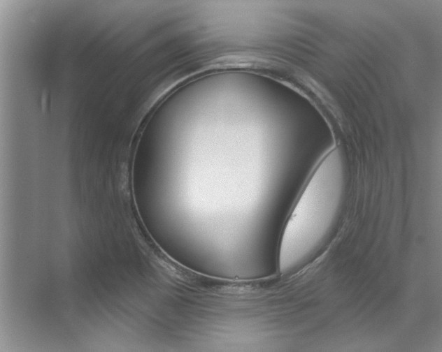 X0000073841465200608101015