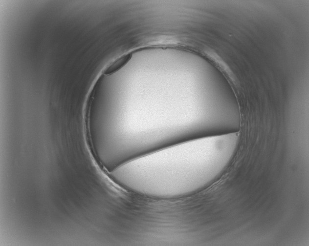X0000073841475200608101014