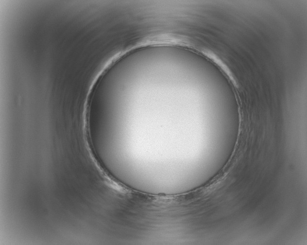 X0000073841477200608101014