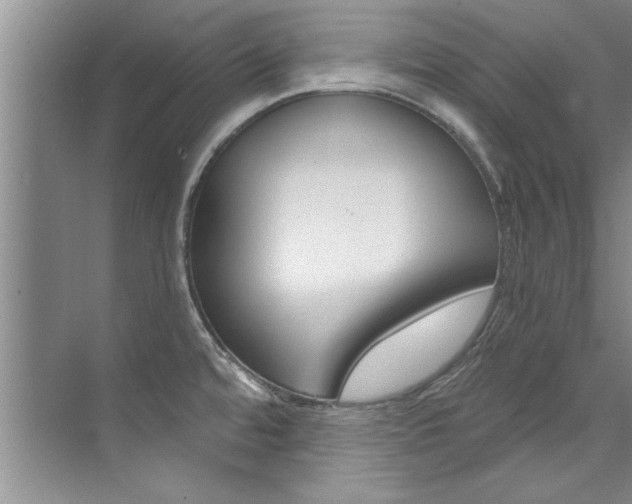 X0000073841480200608101014
