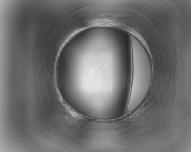 X0000073841488200608101014
