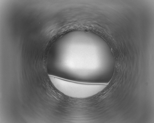 X0000073841490200608101013