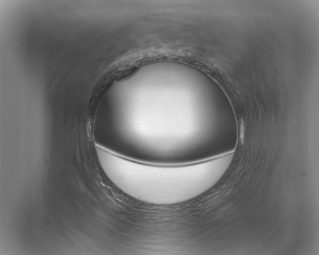 X0000073841492200608101013